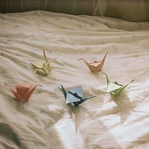 Fundraising Page: Eden Chang